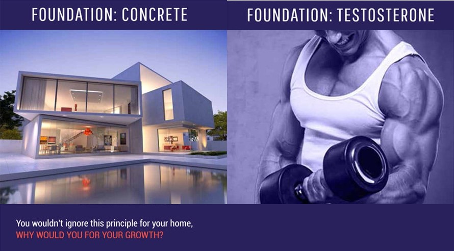 Foundation comparison